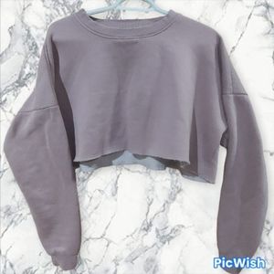 Blush Pink Crop Top Hoodie